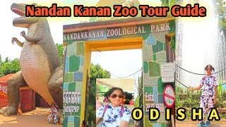 Let's Go To The Jungle Safari With Me||Nandan Kanan Zoological Park Odisha||Travelleresa Desi