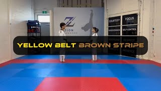 Yellow Belt - One Step Defense - Low block defense - Brown Stripe