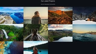 How to setup Shapely theme Portfolio section