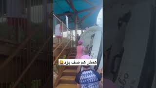 پارک آبی در بلادکفر 😮😮/ یکم هیجان خونت کم نشده؟؟ بیا تا آدرنالینت بره بالا😉چین خفن #چین #چینگردی