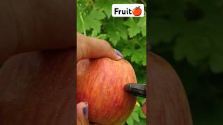 Organic Fruit Farming 🍎🍊🥑🍑#fruitfarming #fruit #apple #organic #fruitcutting #nature #@Food-home14G