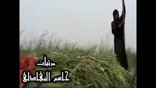 موال - عليه شوفة الطيبين