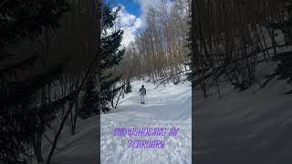 Snowshoeing in February