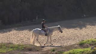 UCSB Stable Horse Rider 20241023 015 P