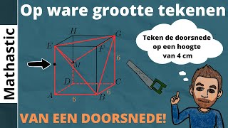 Op ware grootte tekenen van een doorsnede