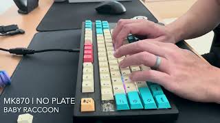 Gateron Baby Raccoon (Stock) | MK870 | No Plate | Typing Sounds