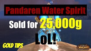 Overpricing Items on Auction House - Pandaren Water Spirit Sold for 25,000 Gold, WoW, WoD