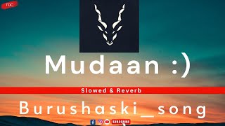 Mudaan New Islam Habib burushaski Song [ Slowed + Reverb ]