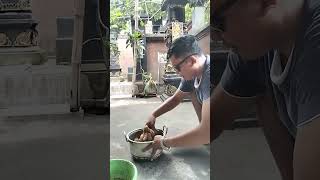 masak ayam kampung kuah bumbu rajang