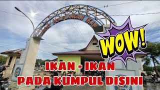 TEMPAT PELELANGAN IKAN ( TPI ) || PASAR TANJUNG LIMAU BONTANG KALTIM