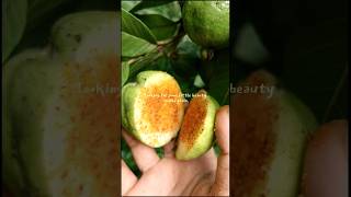 guava fruit with natural cutting 🫐🍑🍓🍏 #farming  #harvest #fruits #guava #healthy #shots #viral