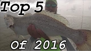 TOP 5 FISH OF 2016!!!