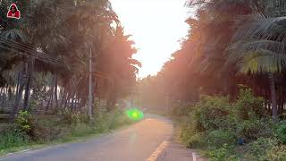 Beautiful Morning ride on my thunderbird around town in tamil | Golden retriever tamil