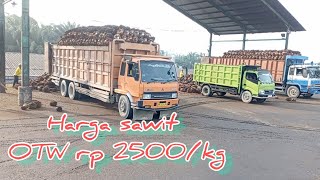 harga sawit naik lagi, truk sawit yang masuk sangat banyak!!@suriadi kw loader