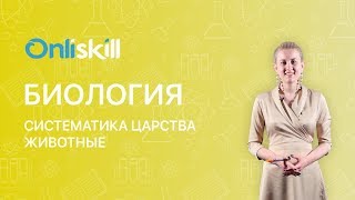 БИОЛОГИЯ 7 класс: Систематика Царства Животные  | Видеоурок