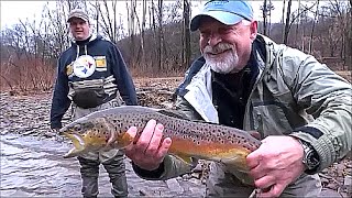 Huge trout Stocked March 14th On The Stretch