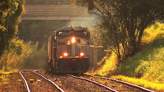 Locomotiva ES44ACI 2568 da Rumo no meio da composição.