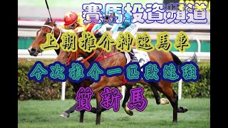 賽馬投資-10/6/2023 香港賽馬第6場貼士心水 WIN PLACE 3X4 HK Horse Racing Tips R6