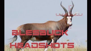 Blesbuck Hunting in South Africa (Slowmotion)