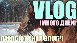 VLOG С КОНЮШНИ [НЕСКОЛЬКО ДНЕЙ] || ВЛОГ ПАХЛЫСТА х ПРАНКУЕМ ТРЕНЕРА х ЛЯПЫ СО СЪЁМОК