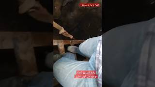 العمل داخل بئر أثري