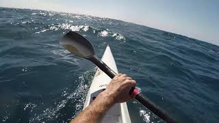 Downwind Ocean Paddle Dicky Beach to Moloolaba HD