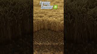 Farming simulator 25 new crops effect like wheat 🌾 , कोन कोन से इफेक्ट आएंगे #shorts  #ytshorts