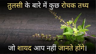 Holy Basil | Benefits of TULSI | Facts About TULSI