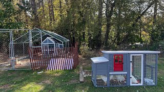 Chicken Coop Update!