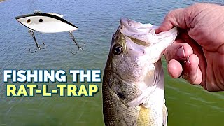 Fishing the Rat-L-Trap for LargeMouth⚡️🍂