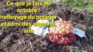 Ce que je fais en octobre au potager : nettoyage, semis d'oignons, ails...