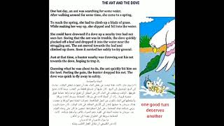 English story # The ant and the dove