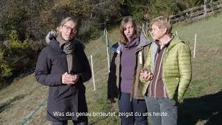 Barrierefreier Hof - Innovation in der Landwirtschaft (17)