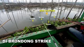 Di Brondong Strike Wader Ijo || Rowo Pening Ambarawa