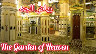 Riaz ul Jannah| Zameen par Jannah Ka Tukra | The Garden of Heaven on Earth #riazuljannah #umrahtour