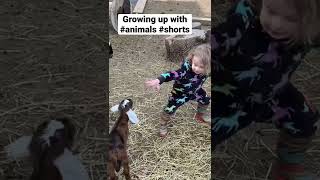 The kids love their animals! #bestlife #farmlife #shorts #animals #farm