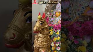 விஜயதசமி அம்பாள்  குதிரை வாகனம் #vijayadashami #navratri2024 #dussehra #madurai #amman