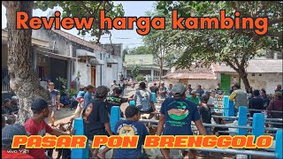 Review Harga Kambing di Pasar Pon Brenggolo 24 Oktober 2023