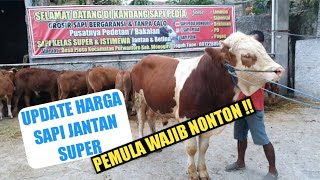 STOK TERBARU SUPER-SUPER, SIMAK UPDATE HARGANYA ‼️ GROSIR SAPI BERGARANSI & TANPA CALO