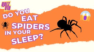 Do you Eat Spiders in your Sleep?