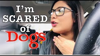 DITL| WHY I AM SO SCARED OF DOGS| DAY AT THE PARK