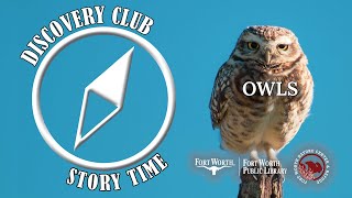 Discovery Club: Owls | Fort Worth Public Library