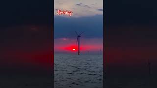 🌅Wind turbine Evining view 🌅