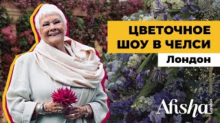 Цветочное шоу Челси / Chelsea Flower Show. Большой обзор с журналом Afisha.London