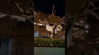 Increíble! Fantasma real grabado en Caspe, Zaragoza. #fantasma #terror #phantom #horror #paranormal