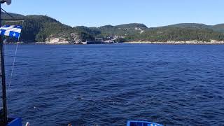 Ferry to Tadoussac (Fast Motion)