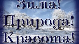 Зима! Природа! Красота! VsemVseOboVsem!