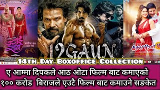 ए आम्म १२ गाउँ १०० करोडको क्लबमा जाने सङ्केत ll Chhakka Panja 5 Vs Jwai Saab Vs 12 Gaun