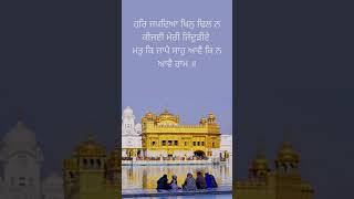 Guru Granth Sahib Ji Status | Youtube shorts | gurbani status | Waheguru Status