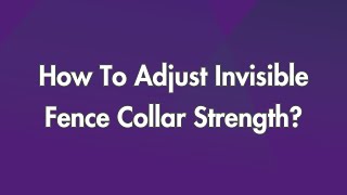 How To Adjust Invisible Fence Collar Strength?